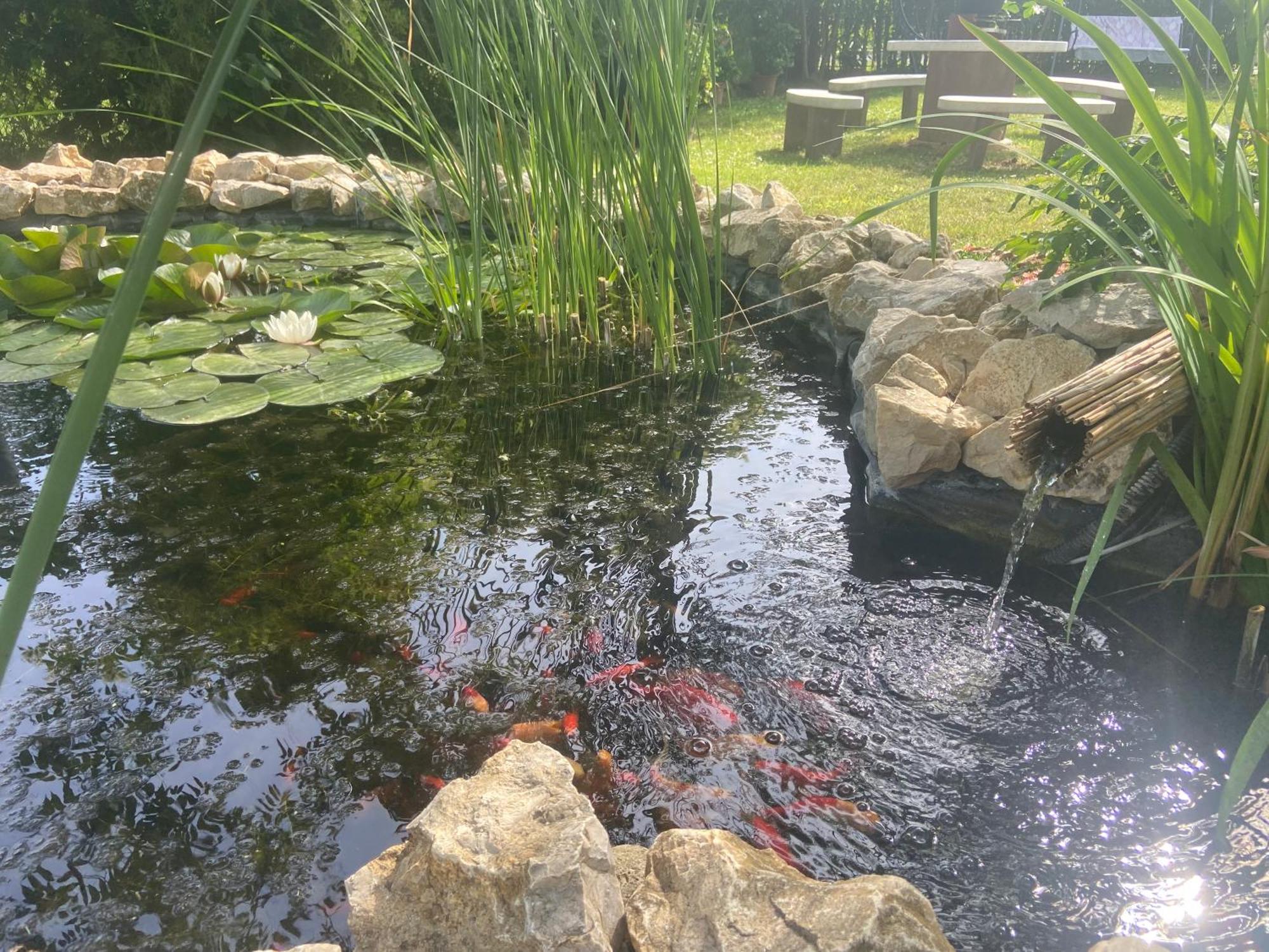 Lelle-Kert Apartman 01 Balatonlelle Exteriör bild
